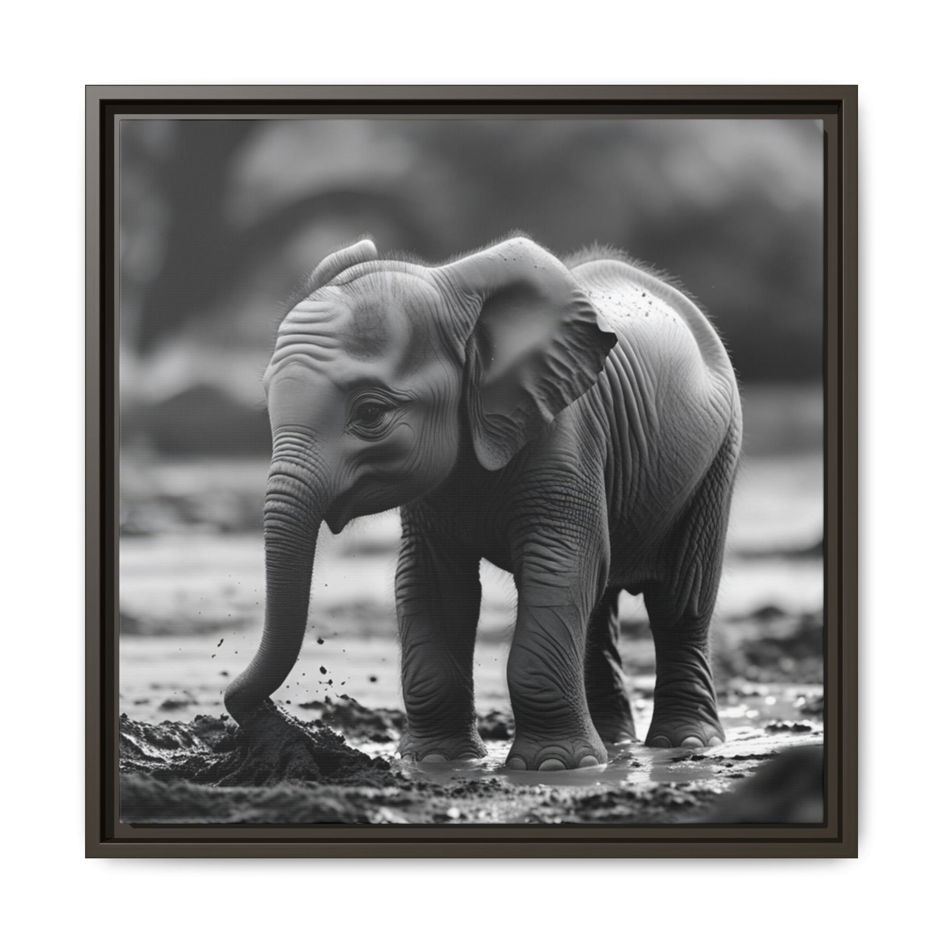 Black and white photo of a baby elephant playing in water