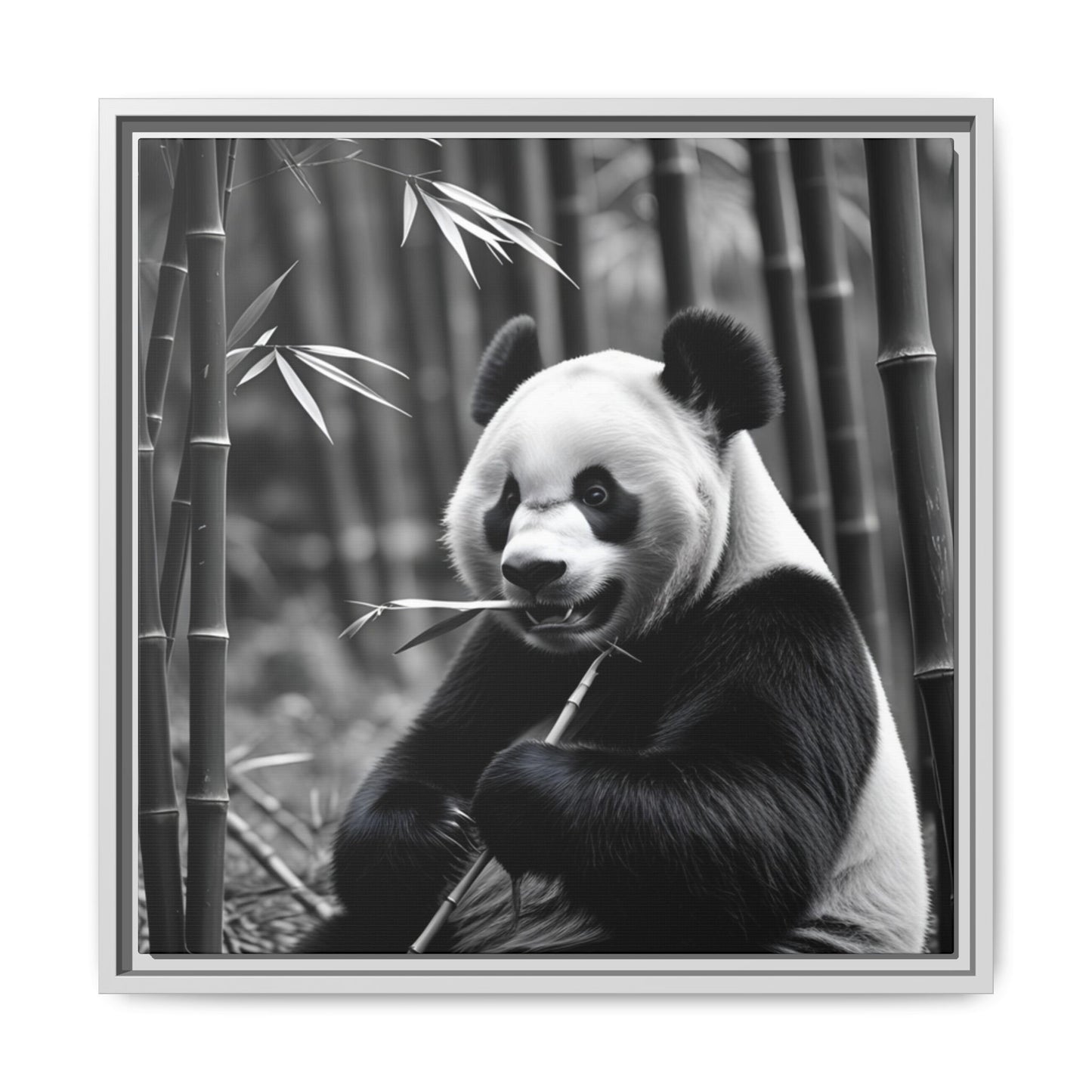 Black and white photo of a panda bear with bamboo leaves