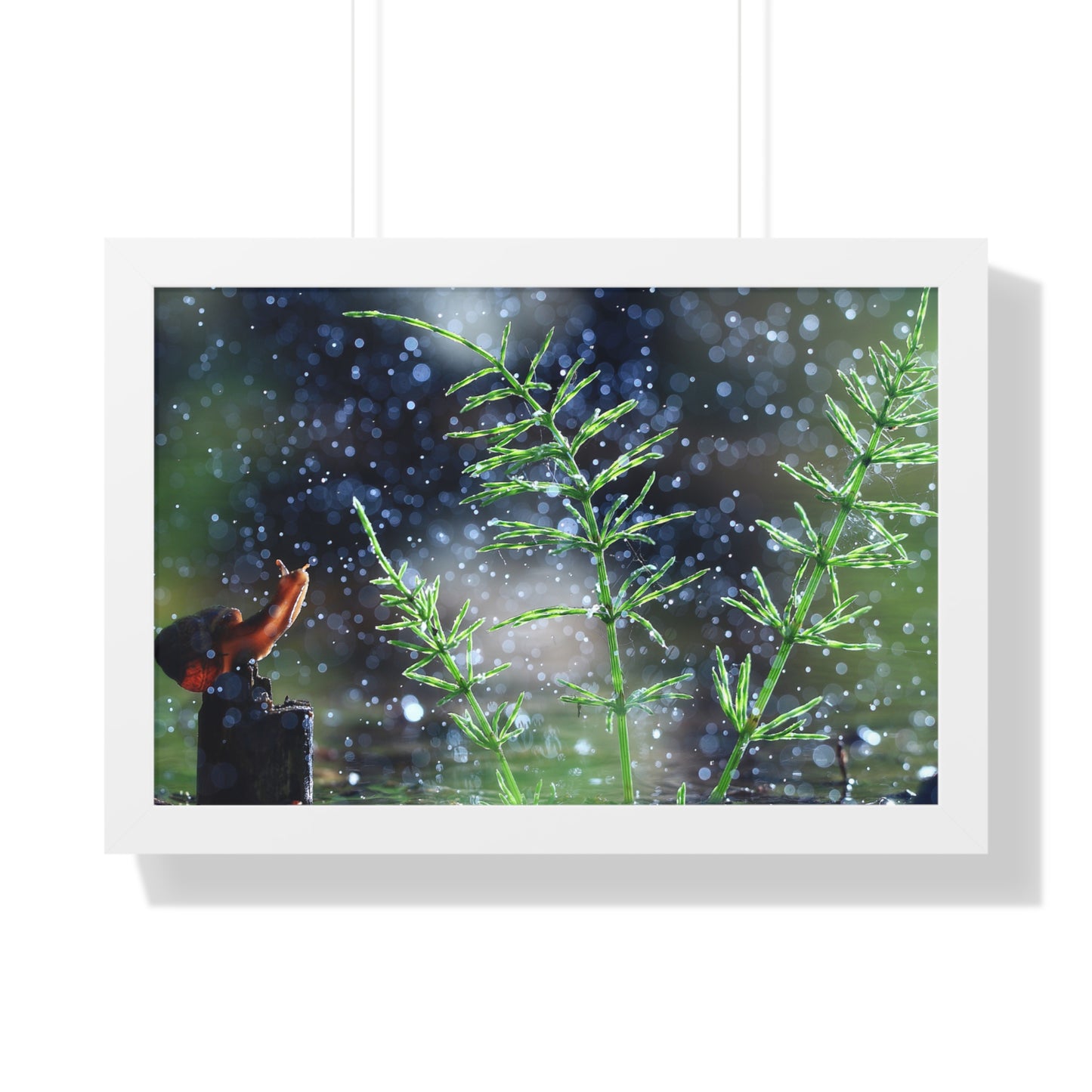 Snail Nature Wall Art – Rain Macro Botanical Print, Zen Forest Decor, Moody Nature, Calm Mindfulness Wall Art