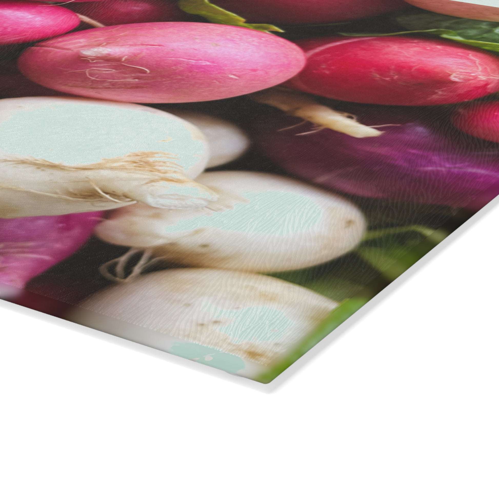 Close-up of colorful tulips with a white border