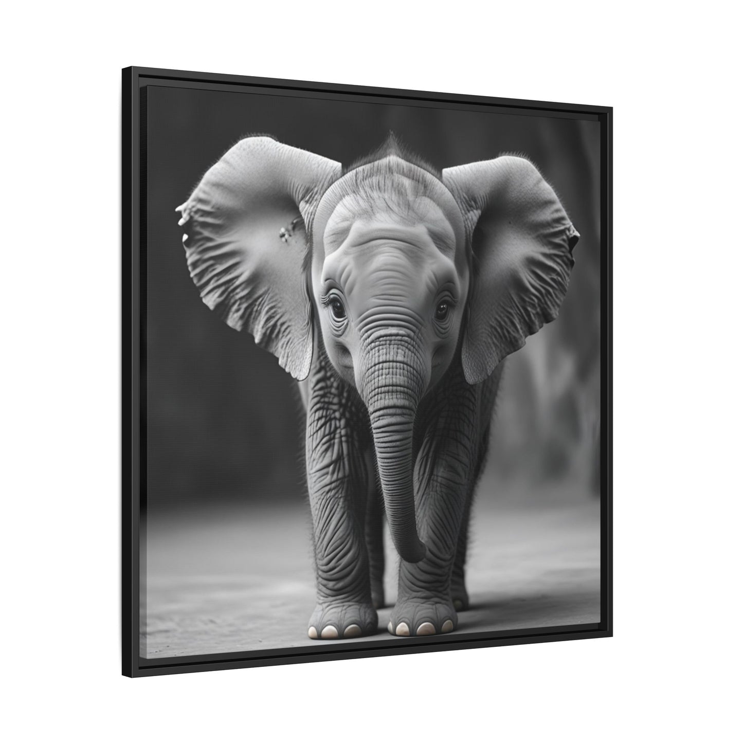 Adorable Baby Elephant Wall Art Black & White Wildlife Photography Print, Cute Safari Animal Home Decor, Elephant Lover Gift
