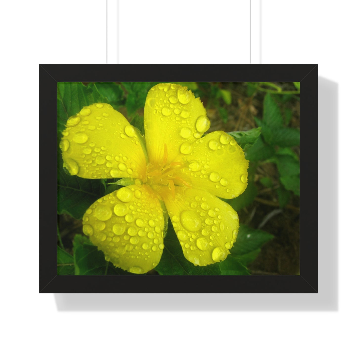 Rain Kissed Yellow Flower Framed Art – Elegant Botanical Wall Decor, Bright Nature Print for Living Room Bedroomift