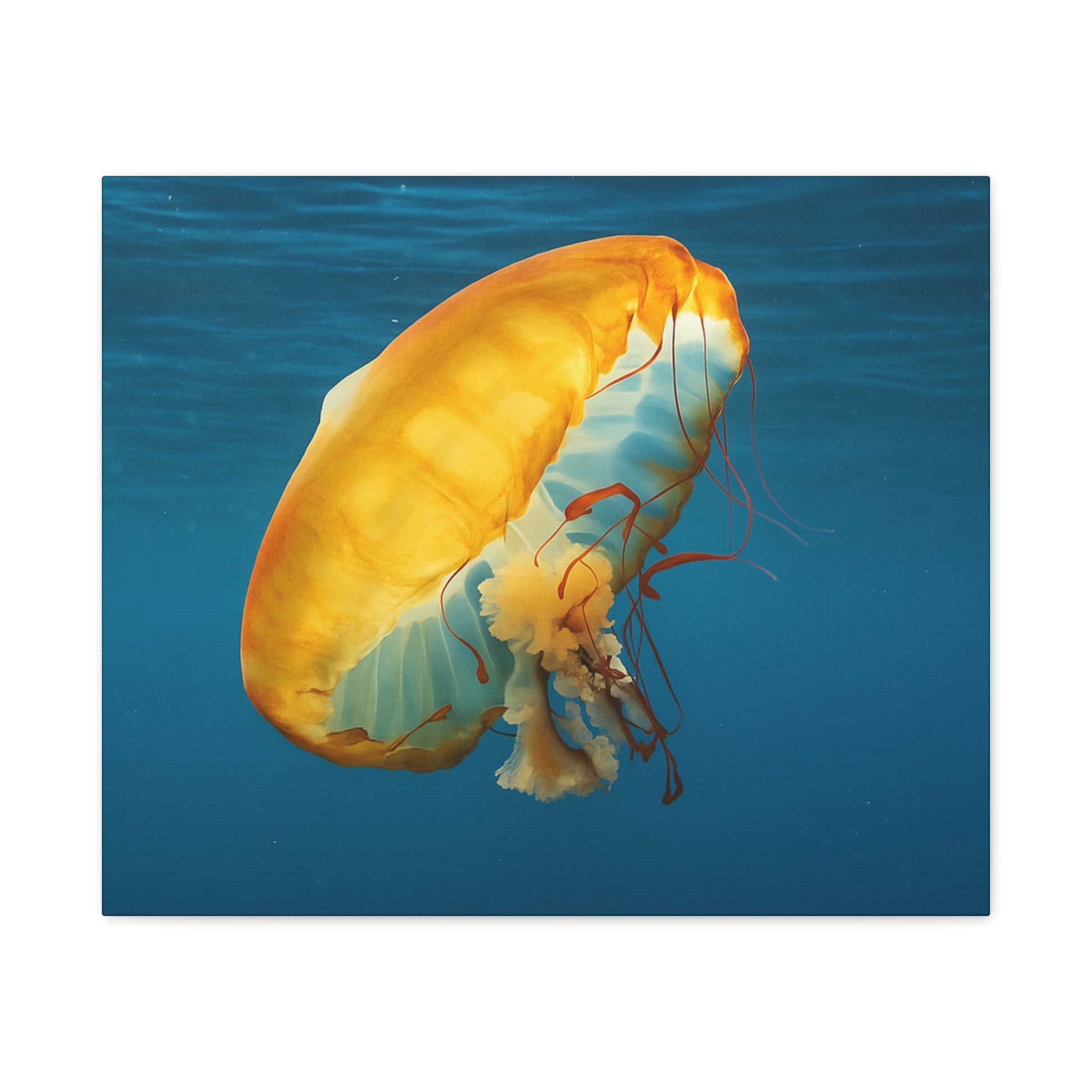 Colorful jellyfish swimming in clear blue water