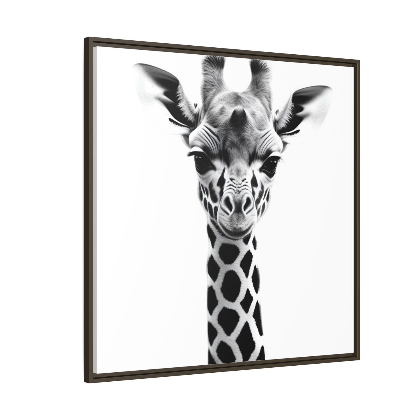 Baby Giraffe Wall Art Black & White Wildlife Photography Print, Cute Giraffe Lover Gift