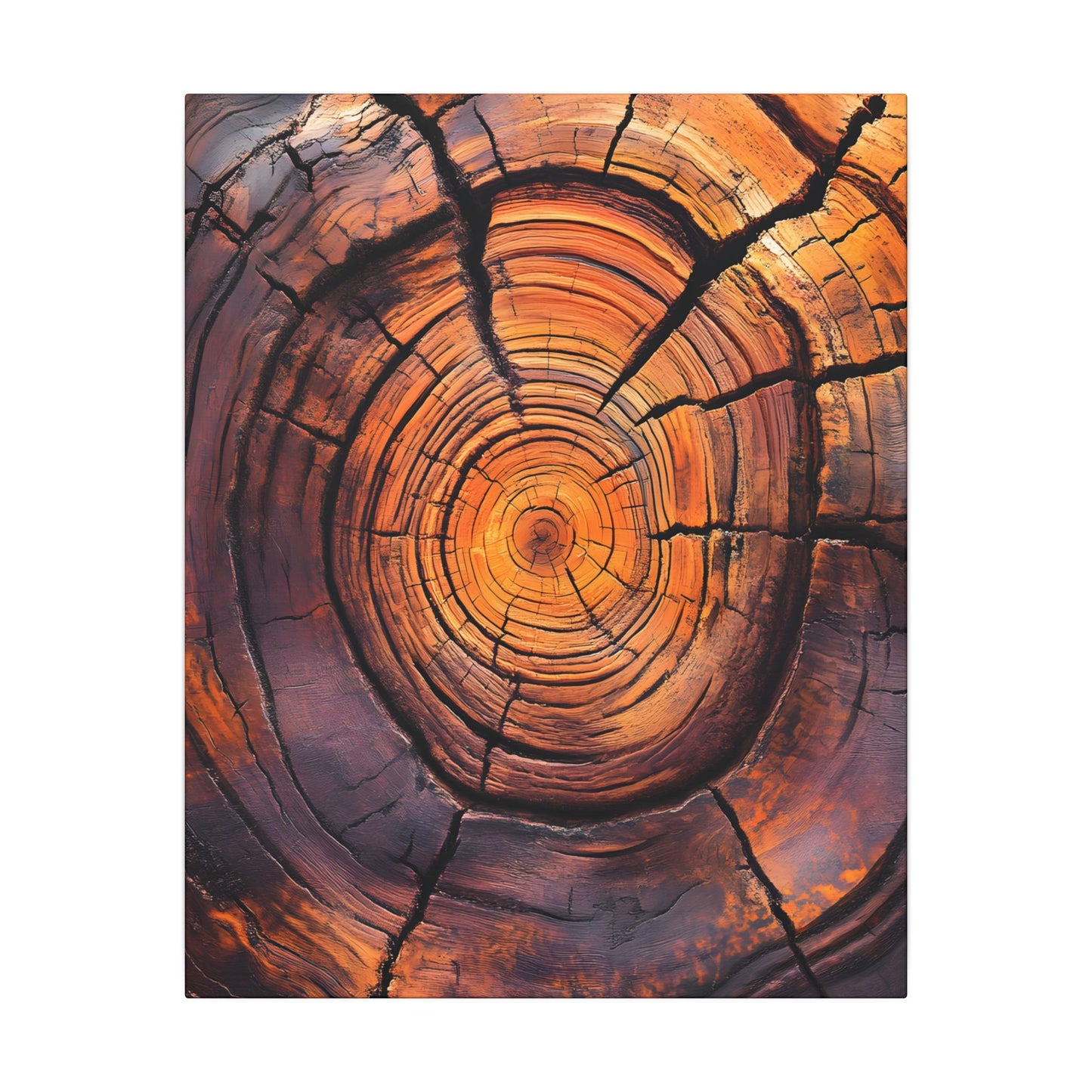 Close-up of a tree stump with concentric rings on a white background