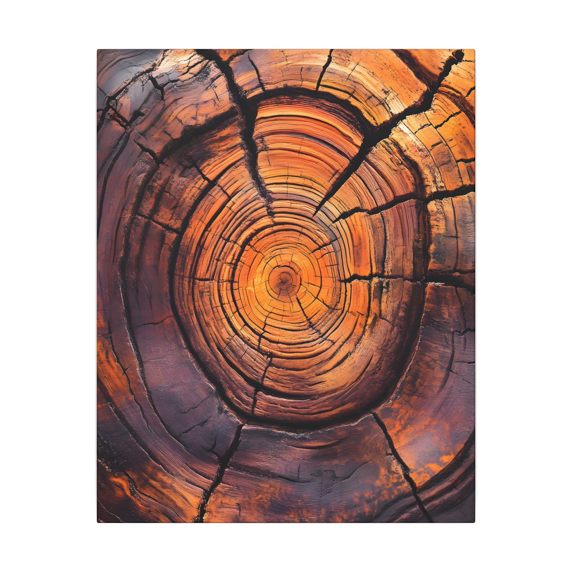 Close-up of a tree stump with concentric rings on a white background