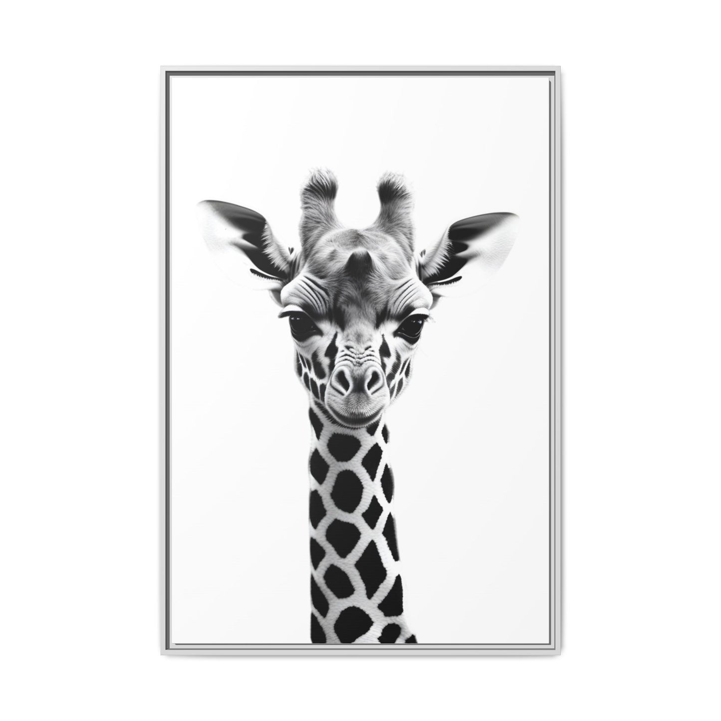Baby Giraffe Wall Art Black & White Wildlife Photography Print, Cute Giraffe Lover Gift