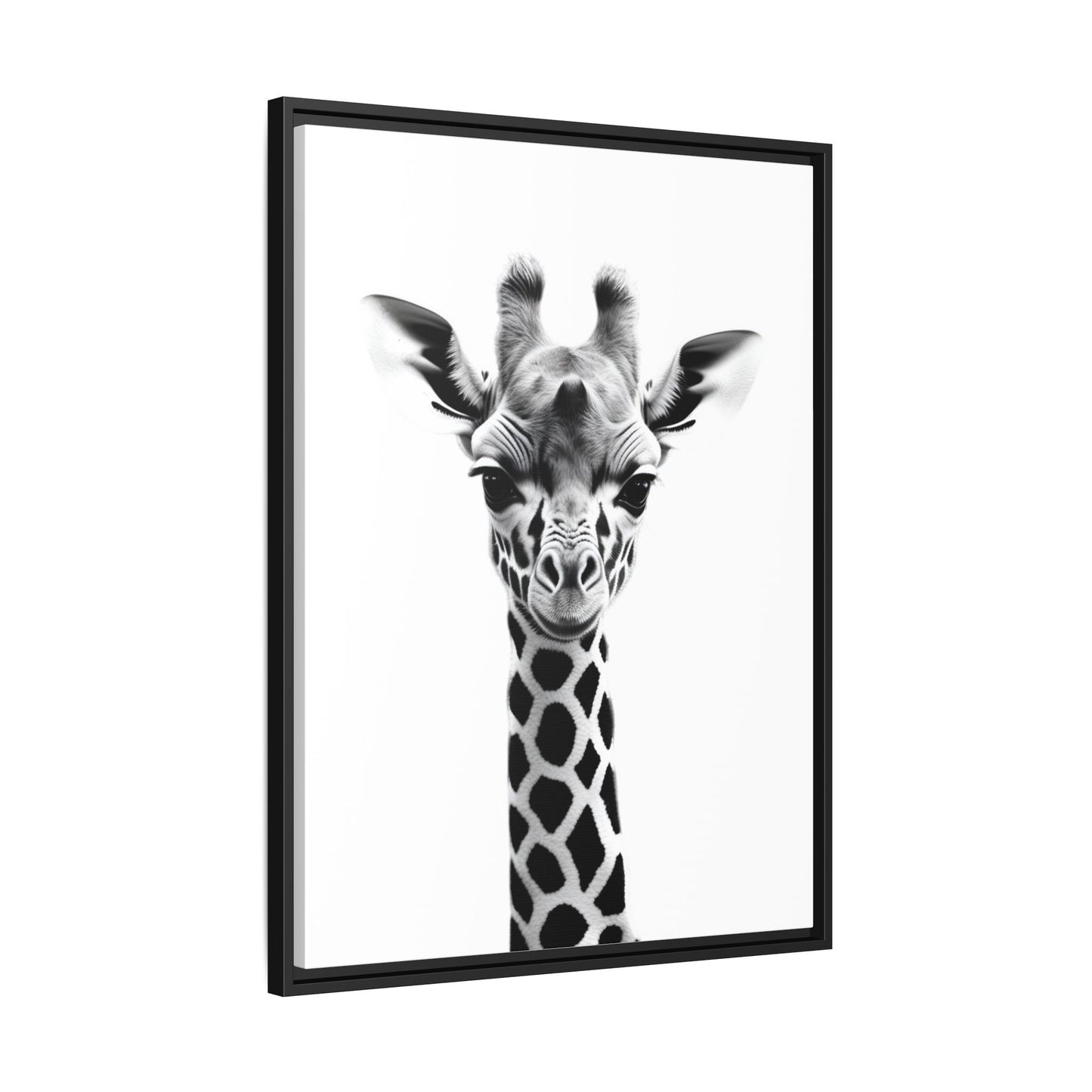 Baby Giraffe Wall Art Black & White Wildlife Photography Print, Cute Giraffe Lover Gift