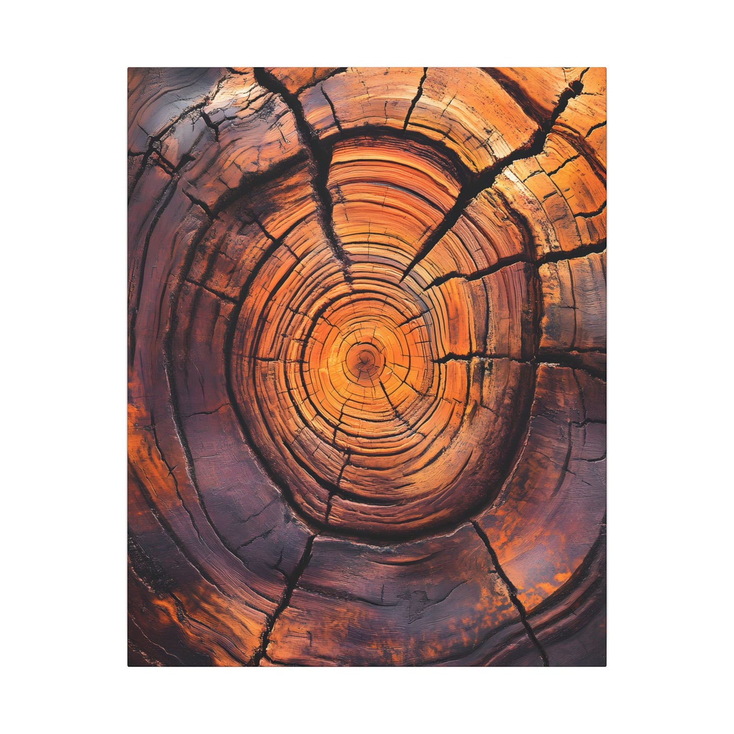 Close-up of a tree stump with visible growth rings on a white background