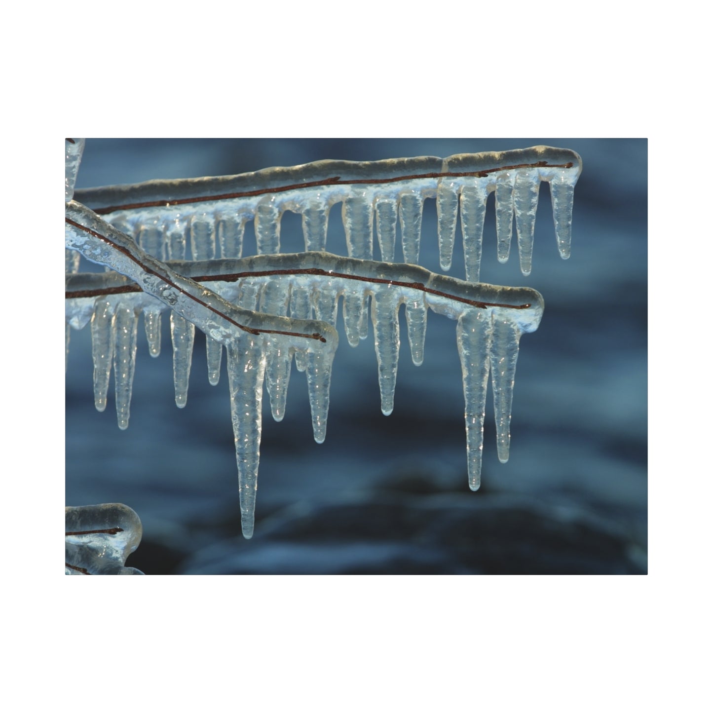 Icicles hanging from a branch against a dark blue background
