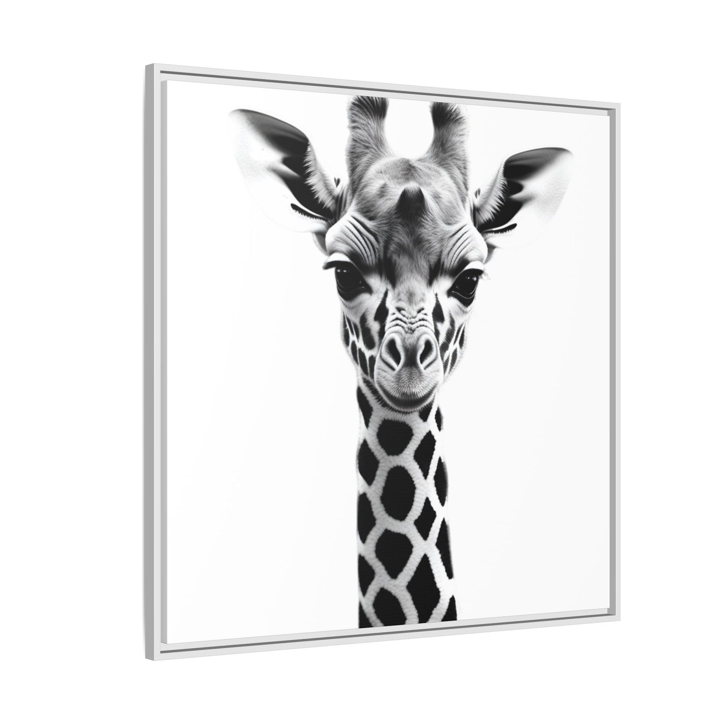 Baby Giraffe Wall Art Black & White Wildlife Photography Print, Cute Giraffe Lover Gift