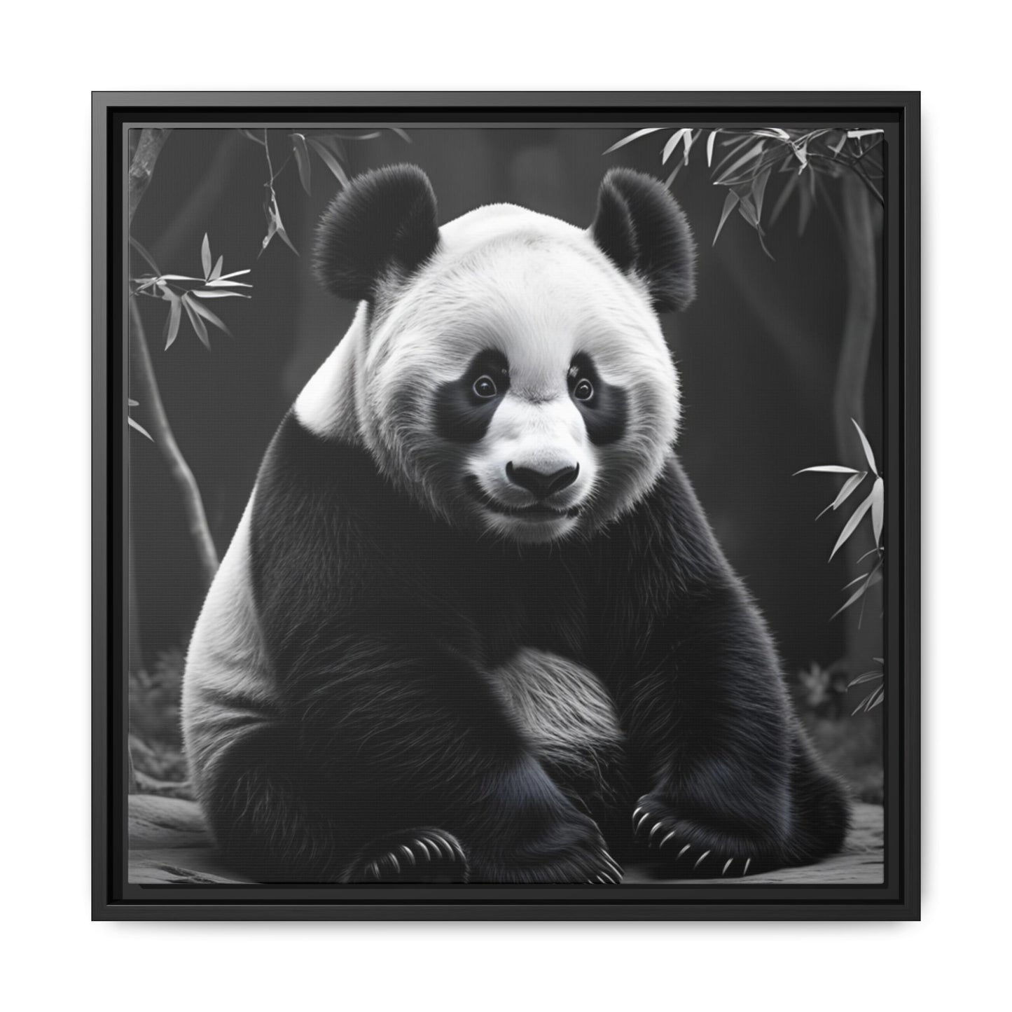 Framed black and white photograph of a panda bear