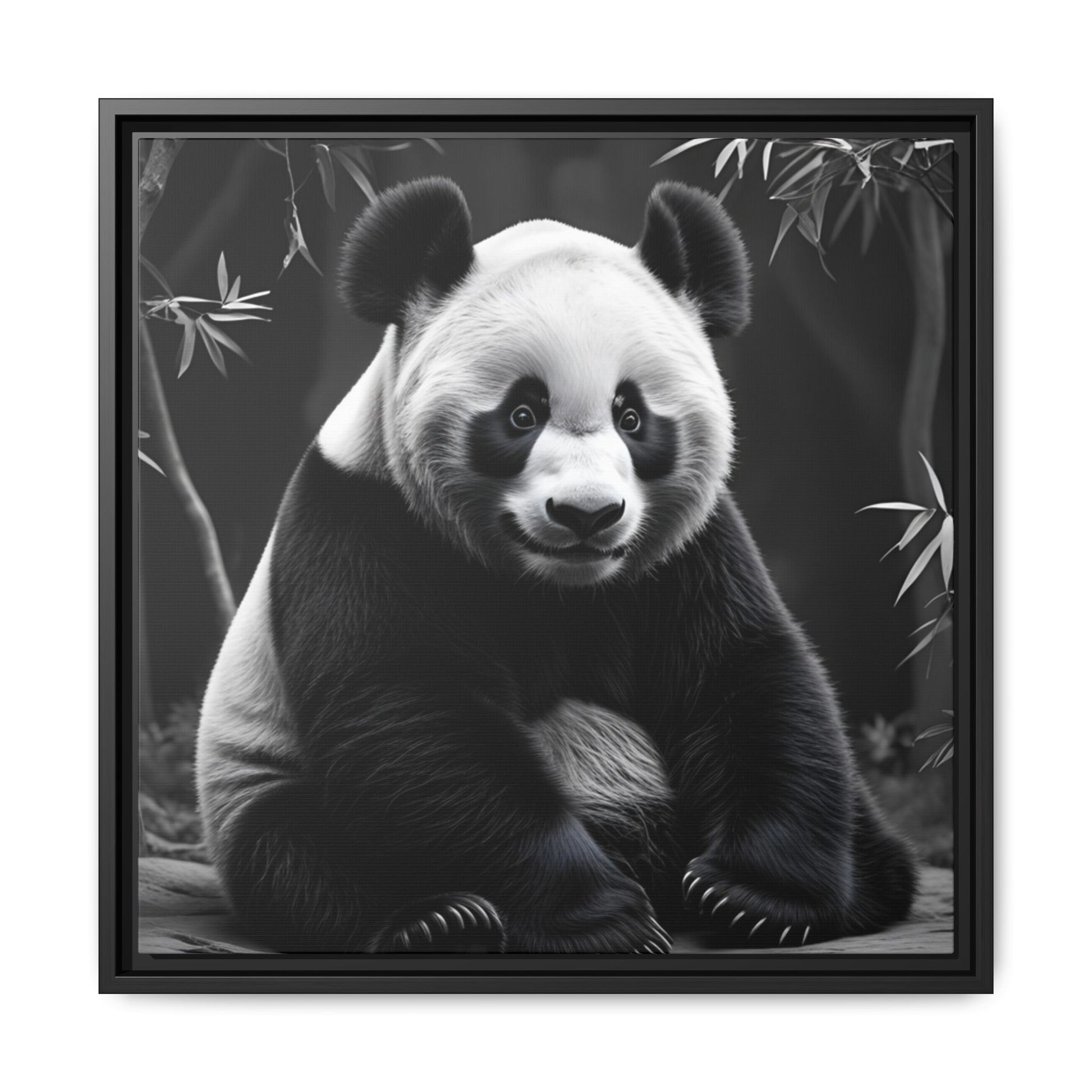 Framed black and white photograph of a panda bear