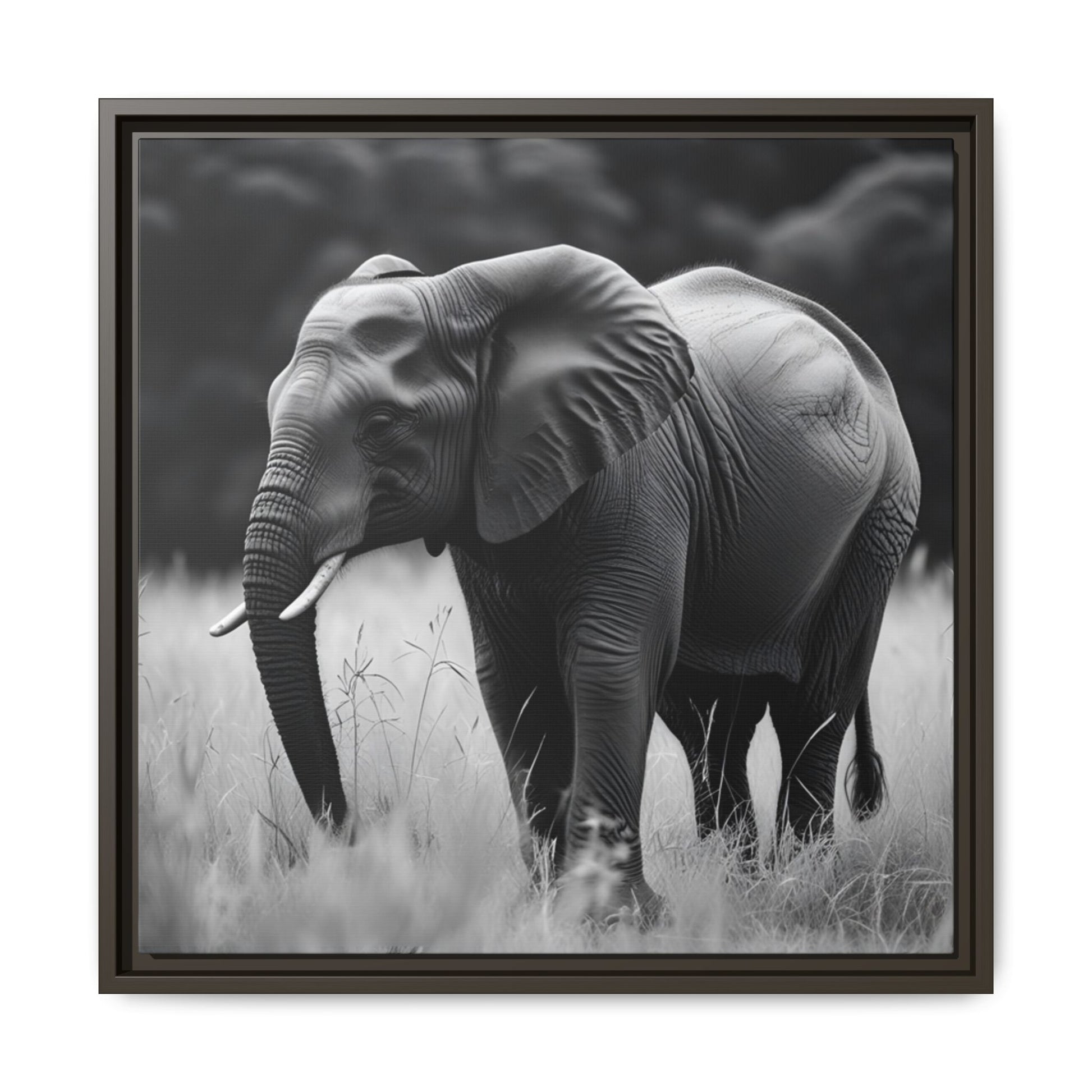 Black and white photo of an elephant in a natural setting with a black frame.