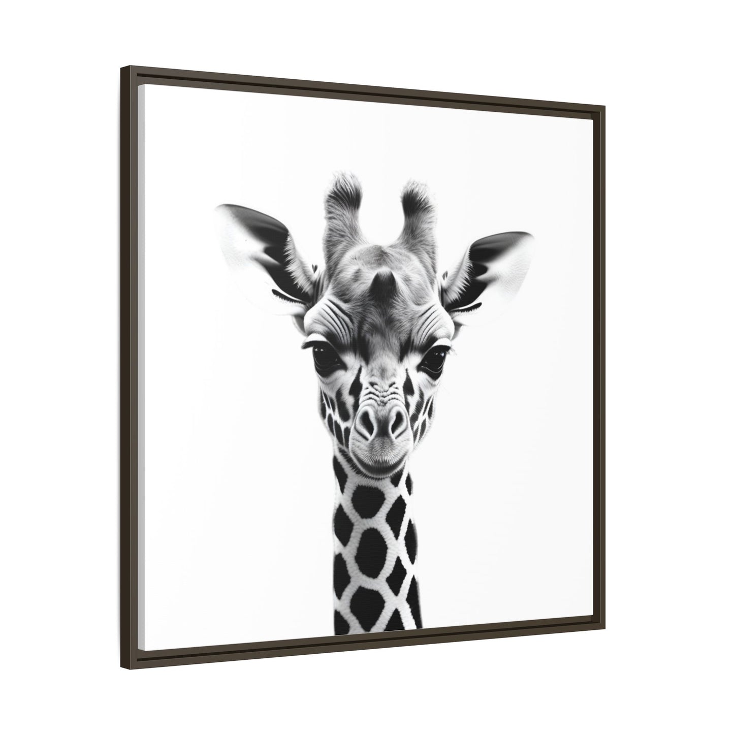 Baby Giraffe Wall Art Black & White Wildlife Photography Print, Cute Giraffe Lover Gift