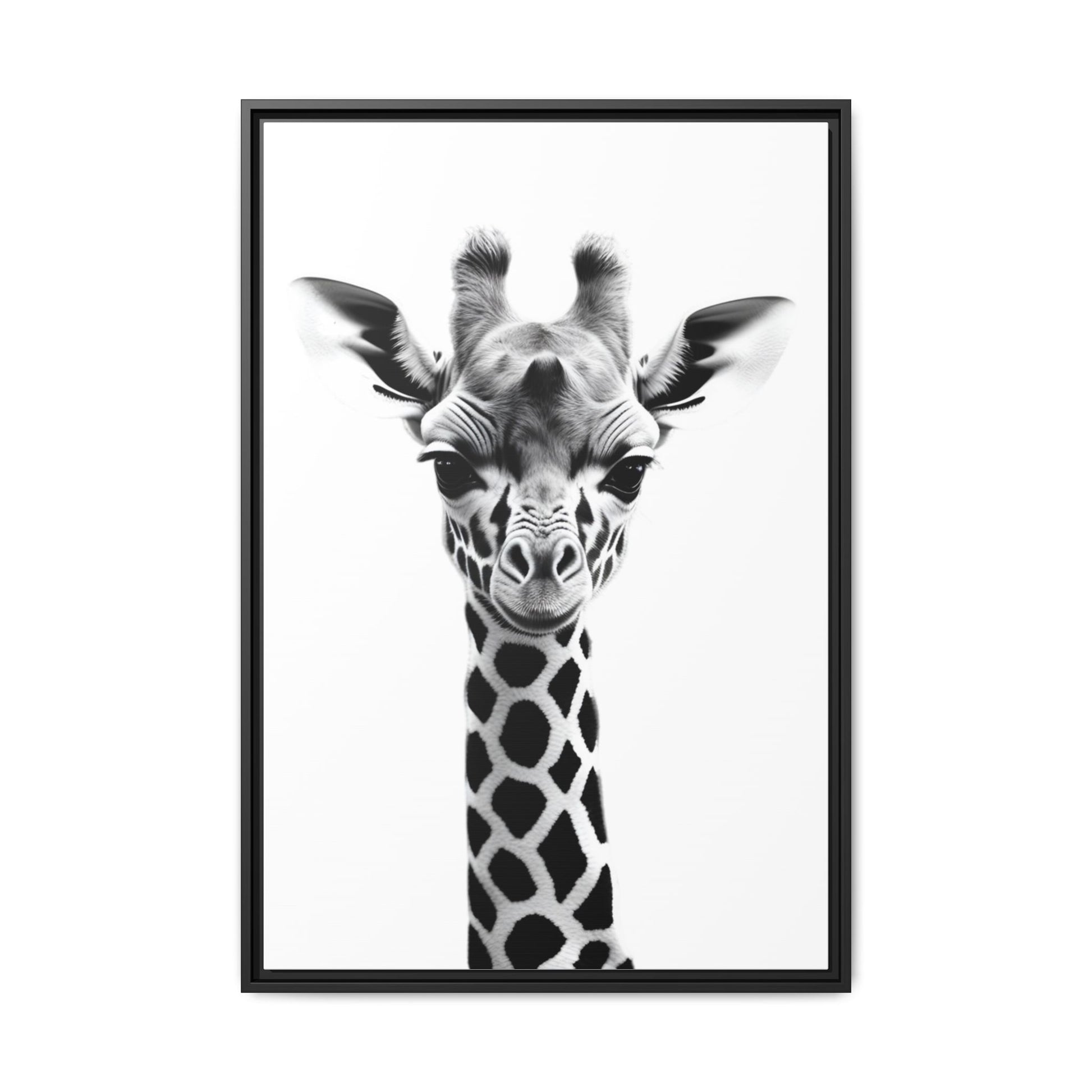 Framed black and white photo of a giraffe on a white background