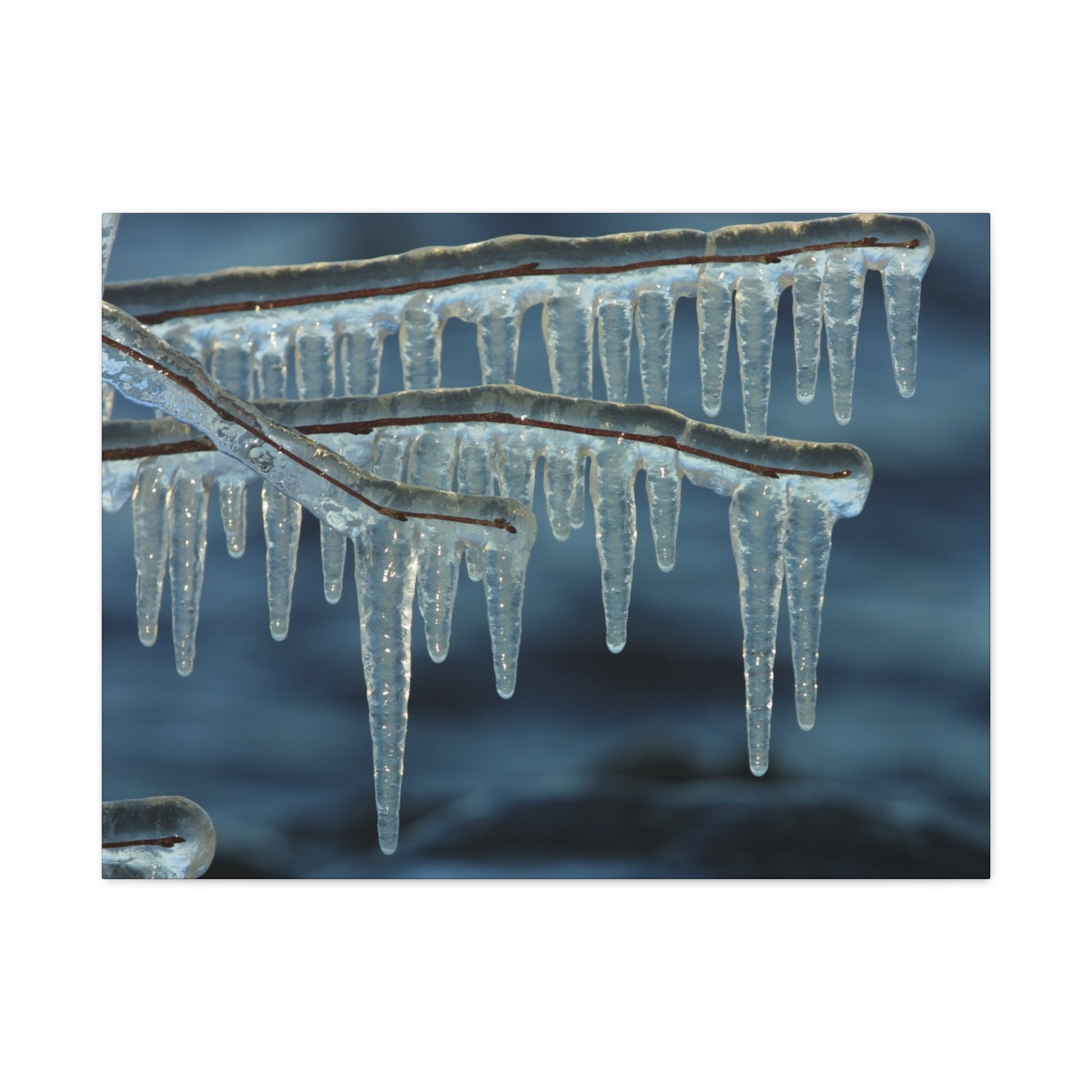 Icicles hanging from a branch against a dark blue background