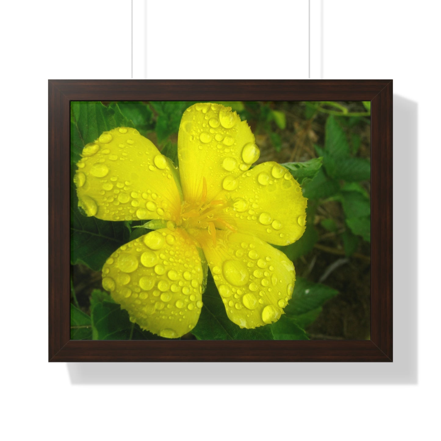 Rain Kissed Yellow Flower Framed Art – Elegant Botanical Wall Decor, Bright Nature Print for Living Room Bedroomift