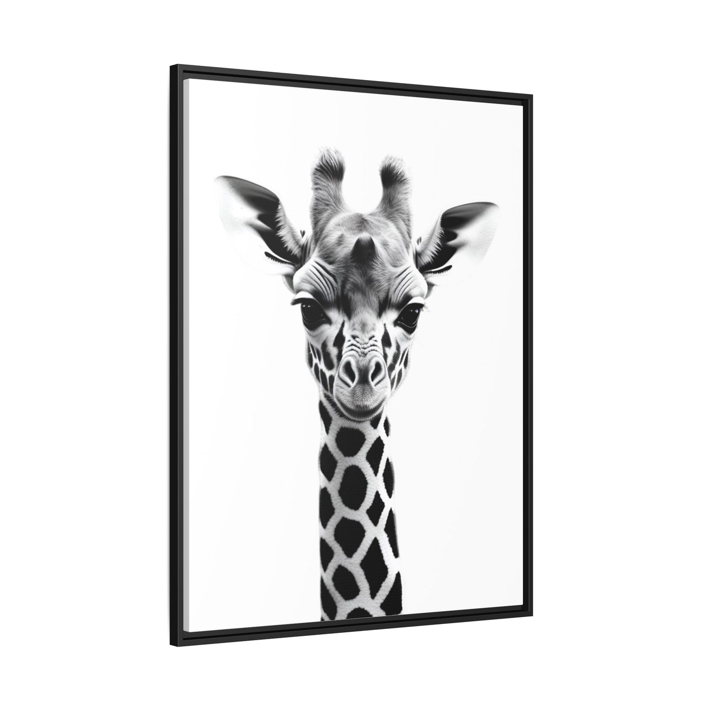 Baby Giraffe Wall Art Black & White Wildlife Photography Print, Cute Giraffe Lover Gift