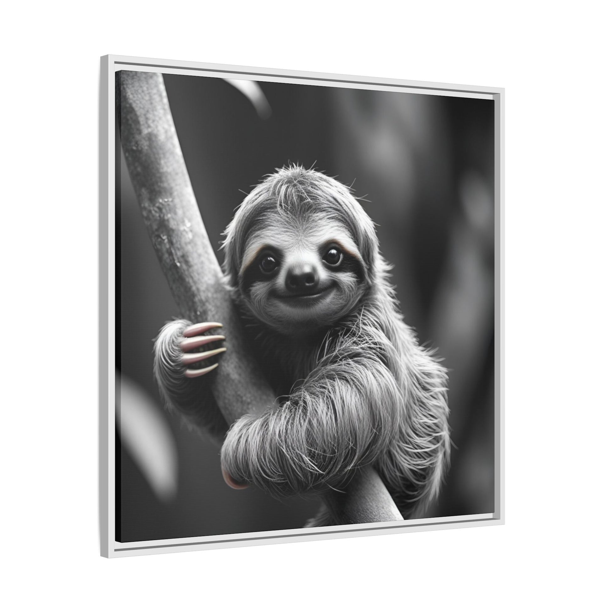 Black and white framed picture of a sloth hanging on a branch