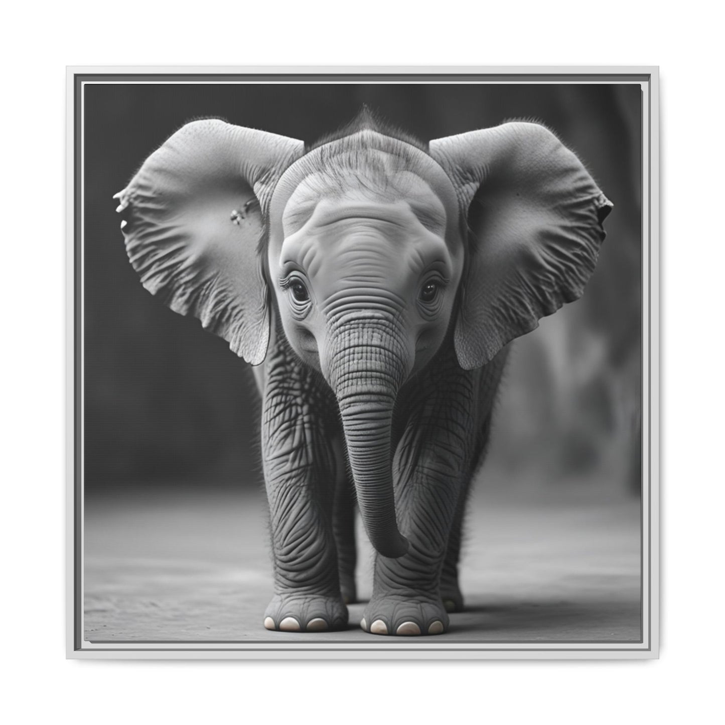 Adorable Baby Elephant Wall Art Black & White Wildlife Photography Print, Cute Safari Animal Home Decor, Elephant Lover Gift
