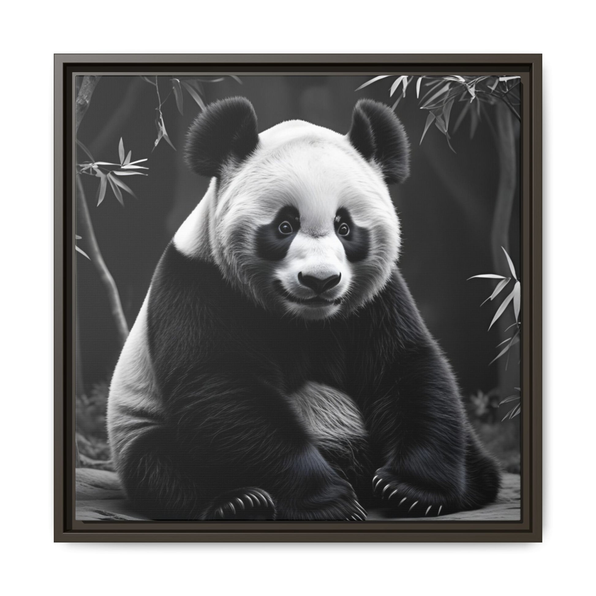 Framed black and white photograph of a panda bear