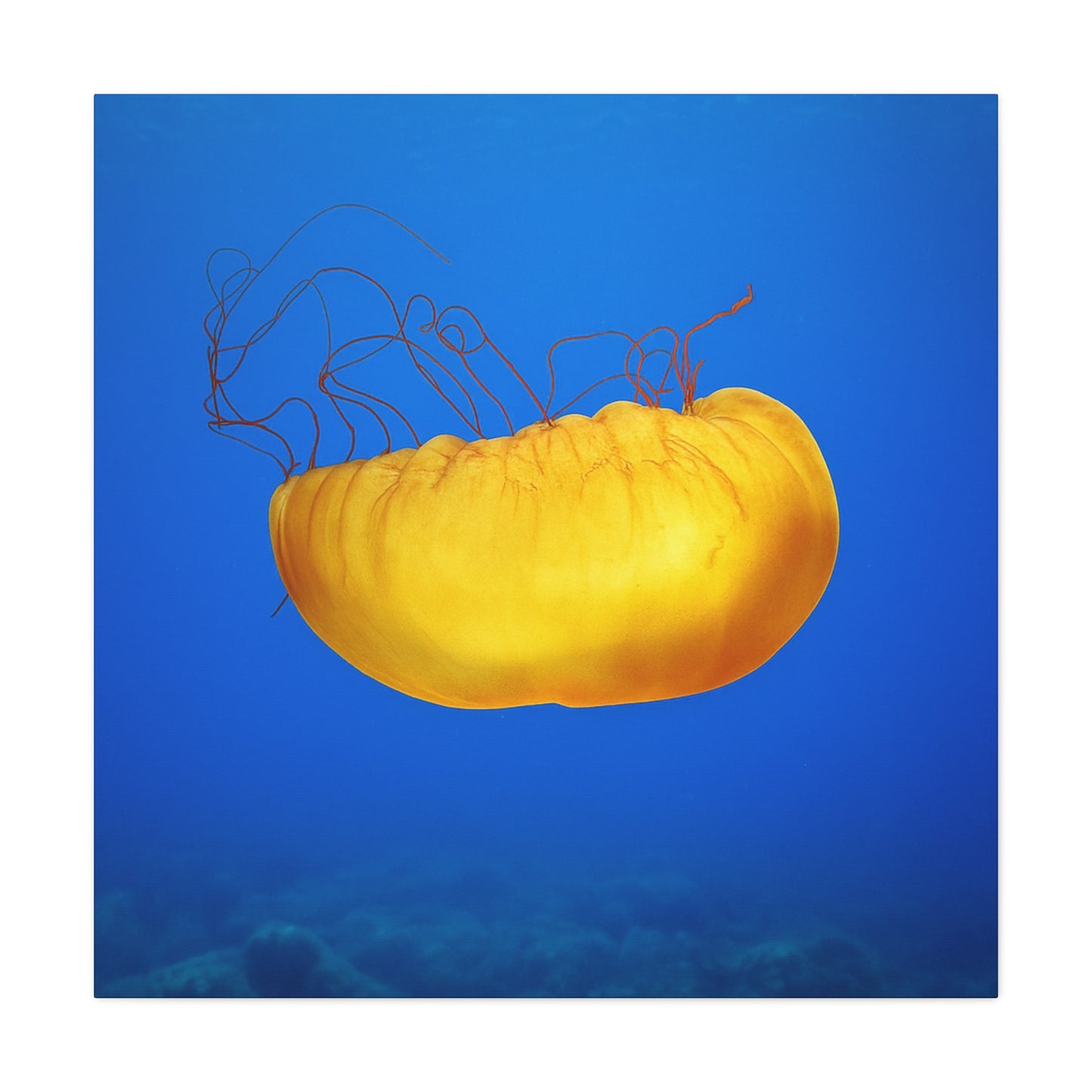 Golden Jellyfish Canvas Wall Art | Ocean Photography Print | Coastal Home Decor | Marine Life Artwork | Blue Sea Jellyfish Poster 1.25"