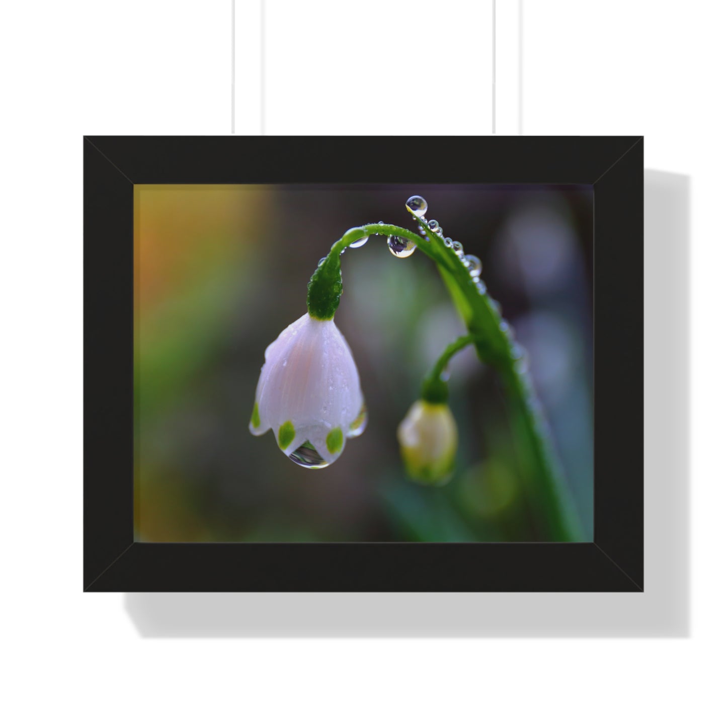 Dew Drop Flower Framed Wall Art – Macro Nature Photography, Minimalist Floral Print, Elegant Botanical Home Decor