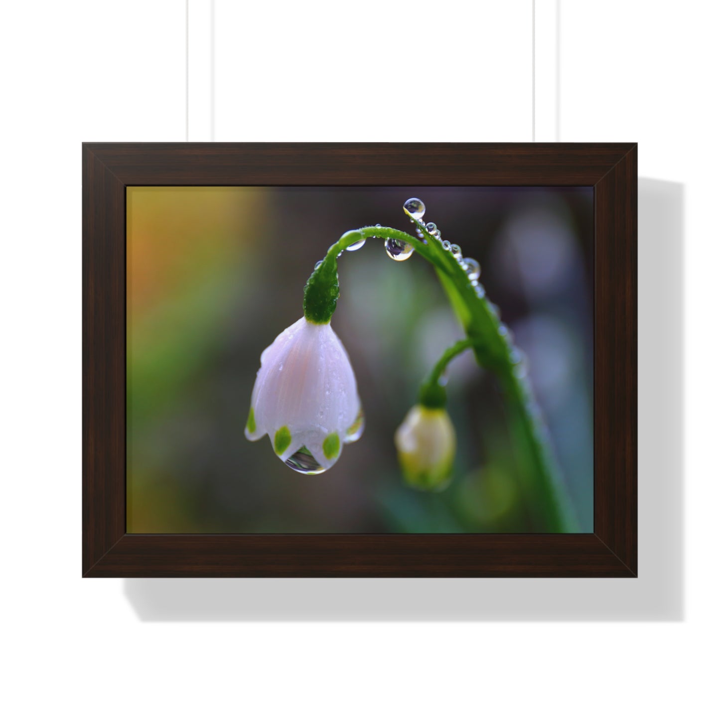 Dew Drop Flower Framed Wall Art – Macro Nature Photography, Minimalist Floral Print, Elegant Botanical Home Decor