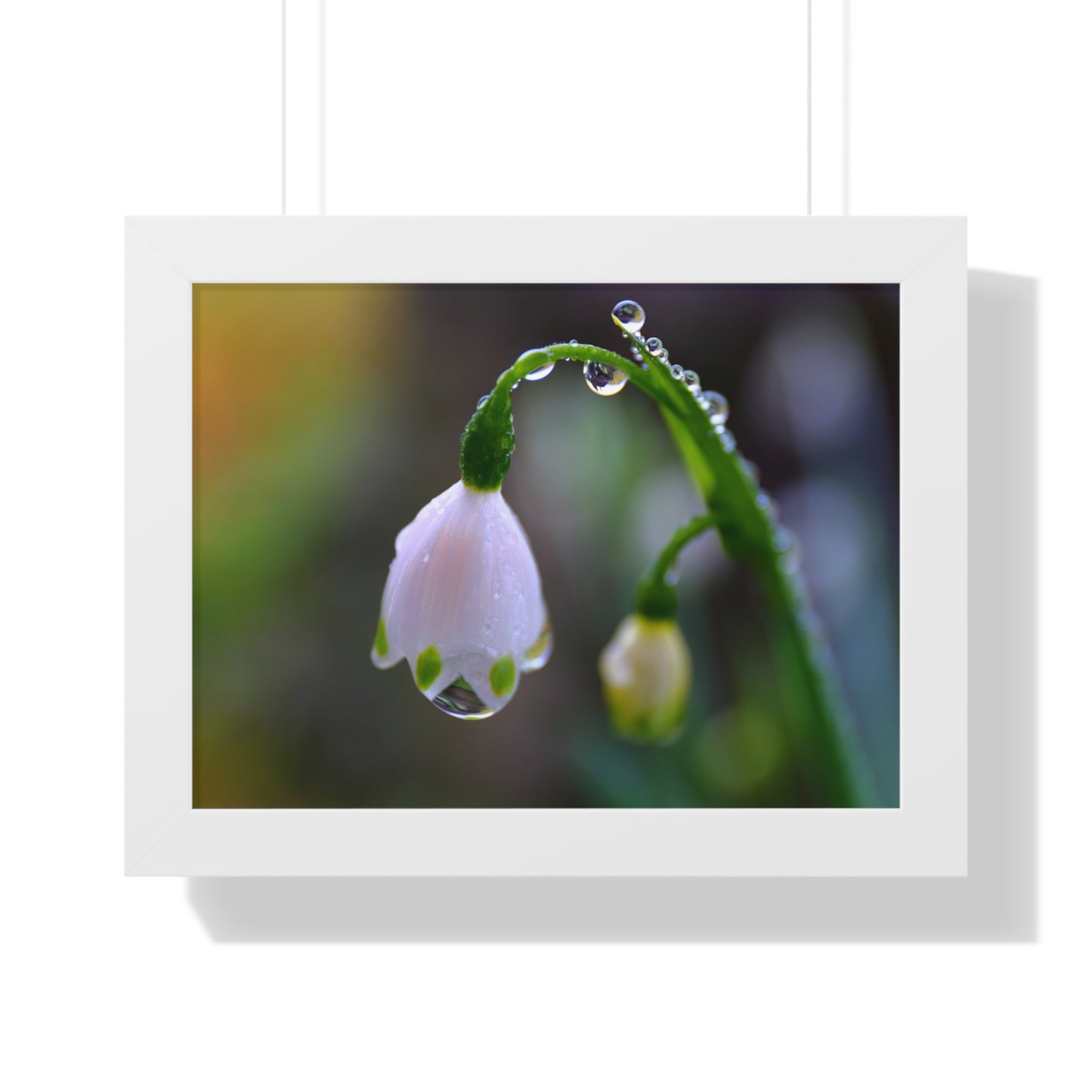Dew Drop Flower Framed Wall Art – Macro Nature Photography, Minimalist Floral Print, Elegant Botanical Home Decor