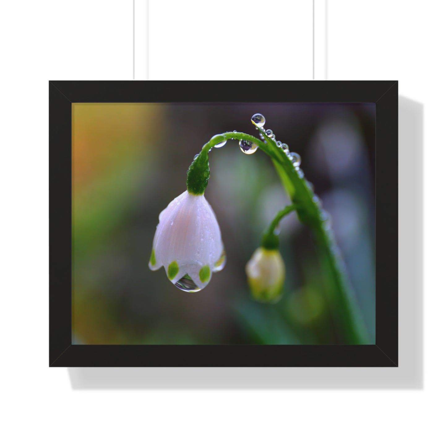 Dew Drop Flower Framed Wall Art – Macro Nature Photography, Minimalist Floral Print, Elegant Botanical Home Decor