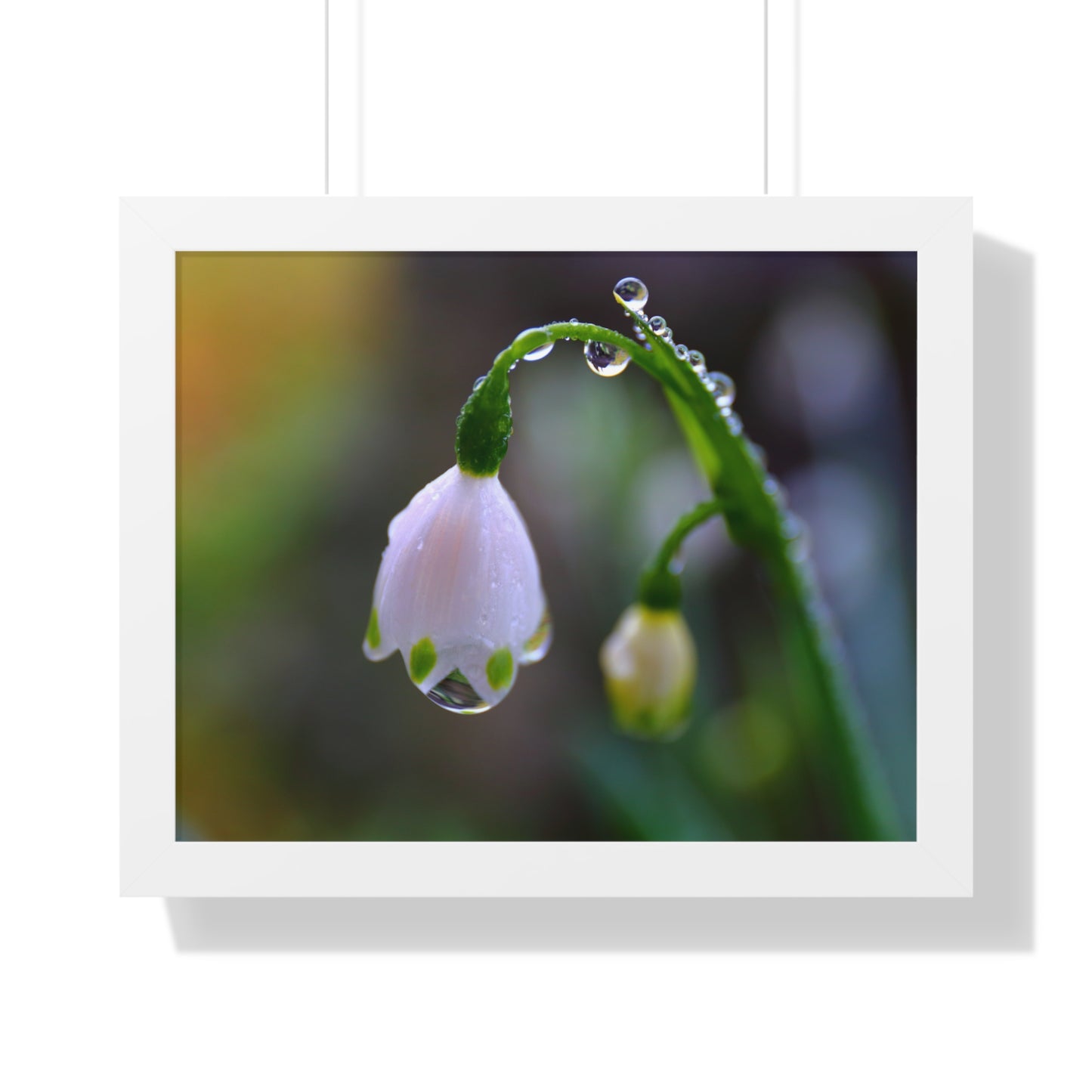 Dew Drop Flower Framed Wall Art – Macro Nature Photography, Minimalist Floral Print, Elegant Botanical Home Decor