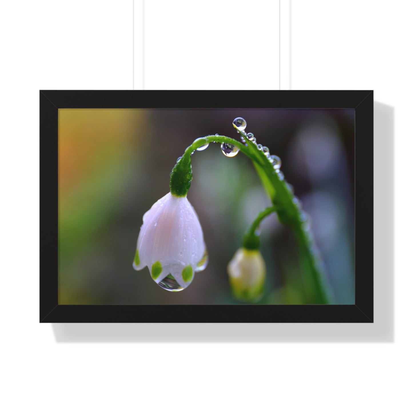 Dew Drop Flower Framed Wall Art – Macro Nature Photography, Minimalist Floral Print, Elegant Botanical Home Decor
