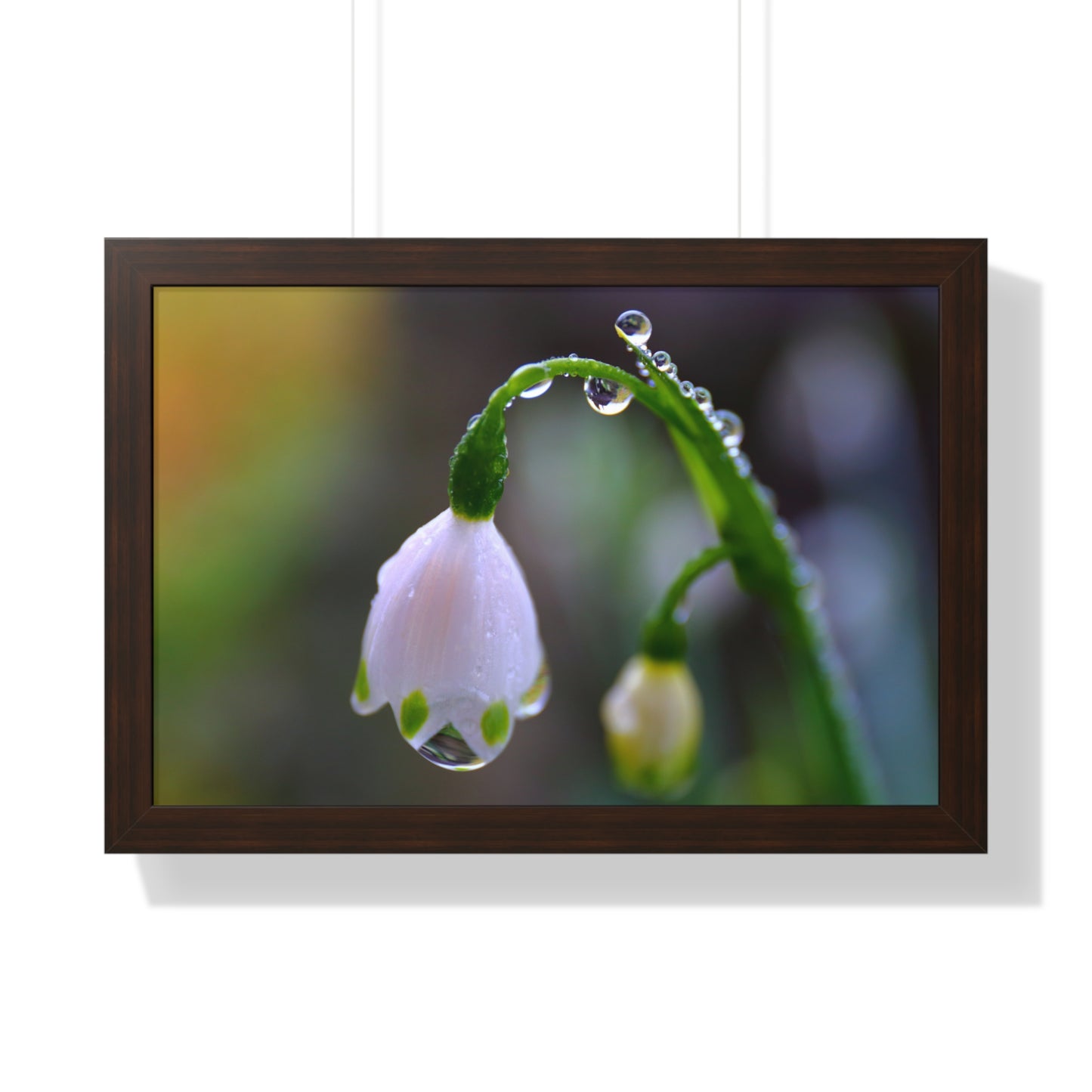 Dew Drop Flower Framed Wall Art – Macro Nature Photography, Minimalist Floral Print, Elegant Botanical Home Decor