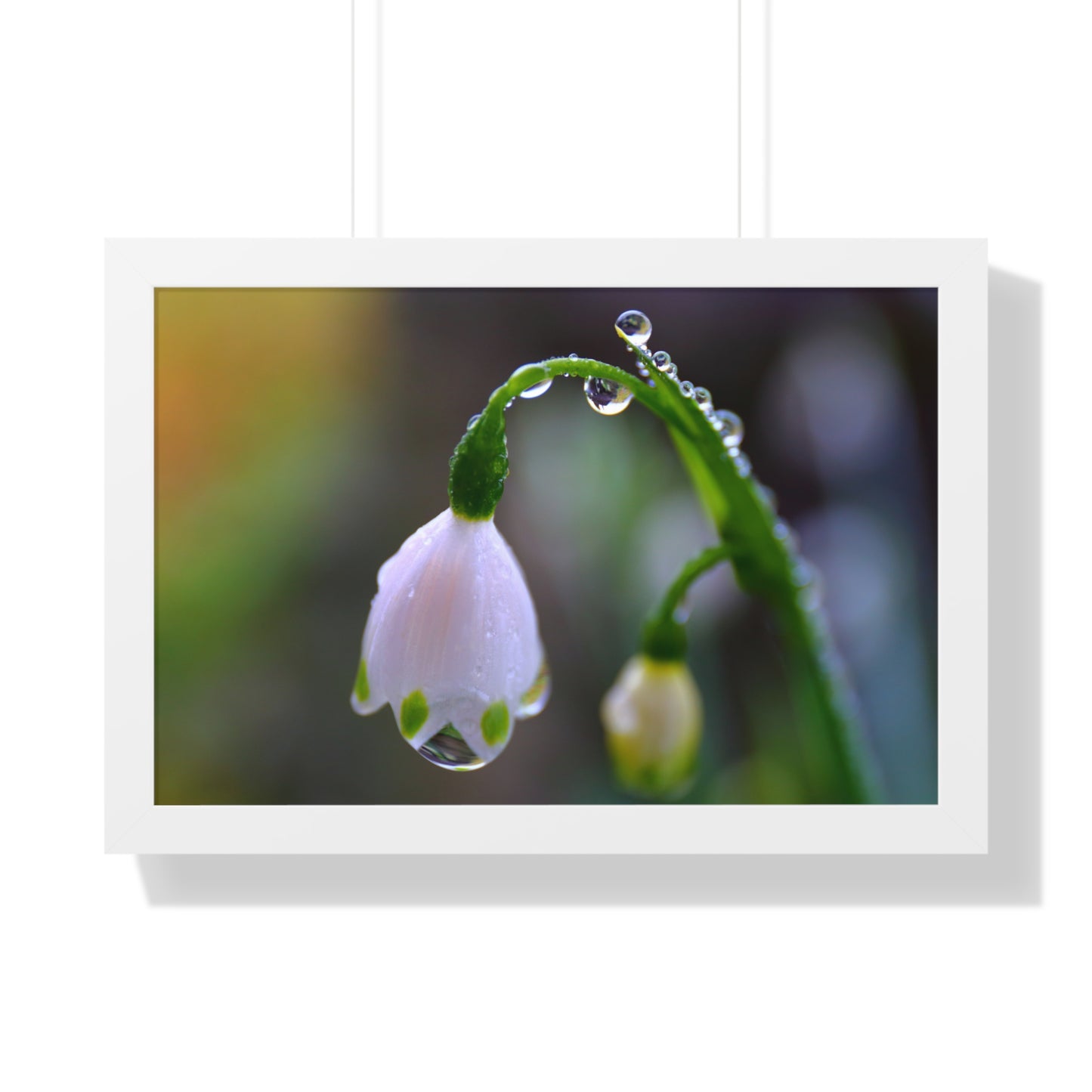 Dew Drop Flower Framed Wall Art – Macro Nature Photography, Minimalist Floral Print, Elegant Botanical Home Decor