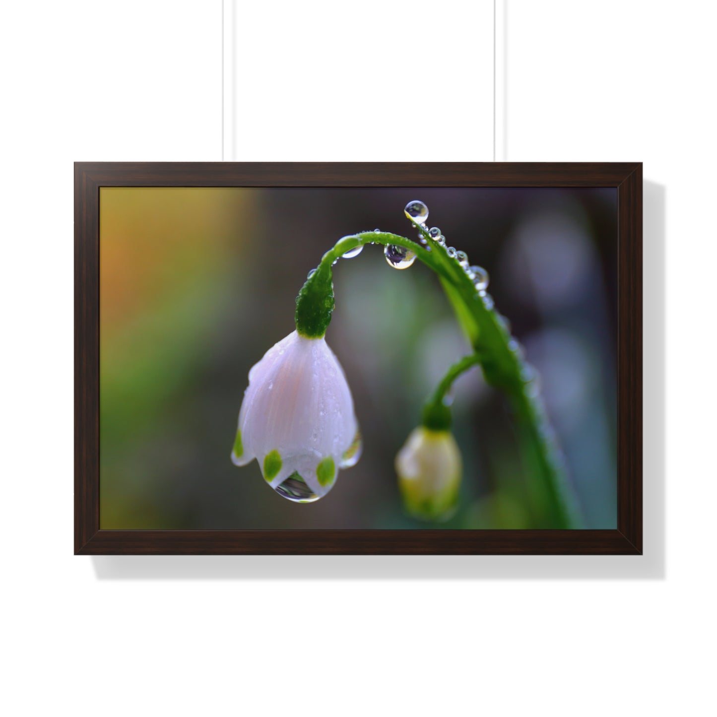 Dew Drop Flower Framed Wall Art – Macro Nature Photography, Minimalist Floral Print, Elegant Botanical Home Decor