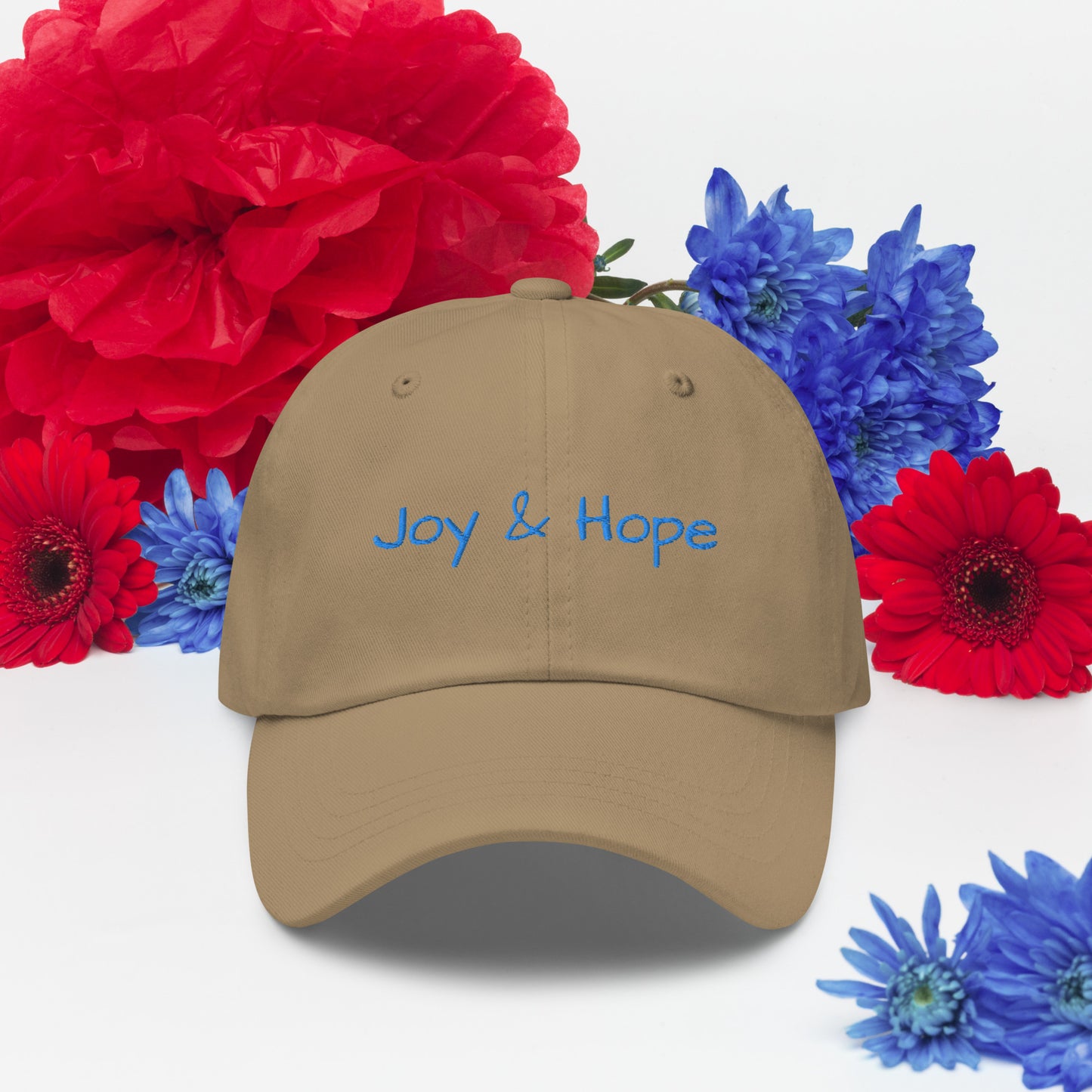 Joy & Hope Election 2024 Future