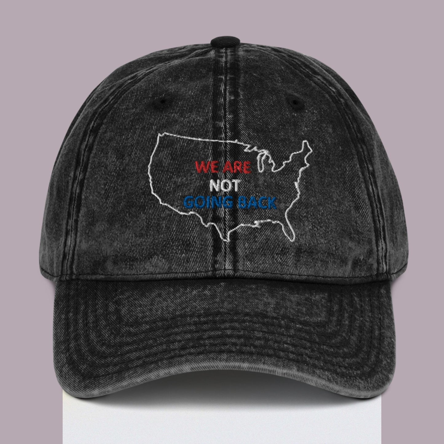 We Are Not Going Back USA Embroidered Vintage Ball Cap