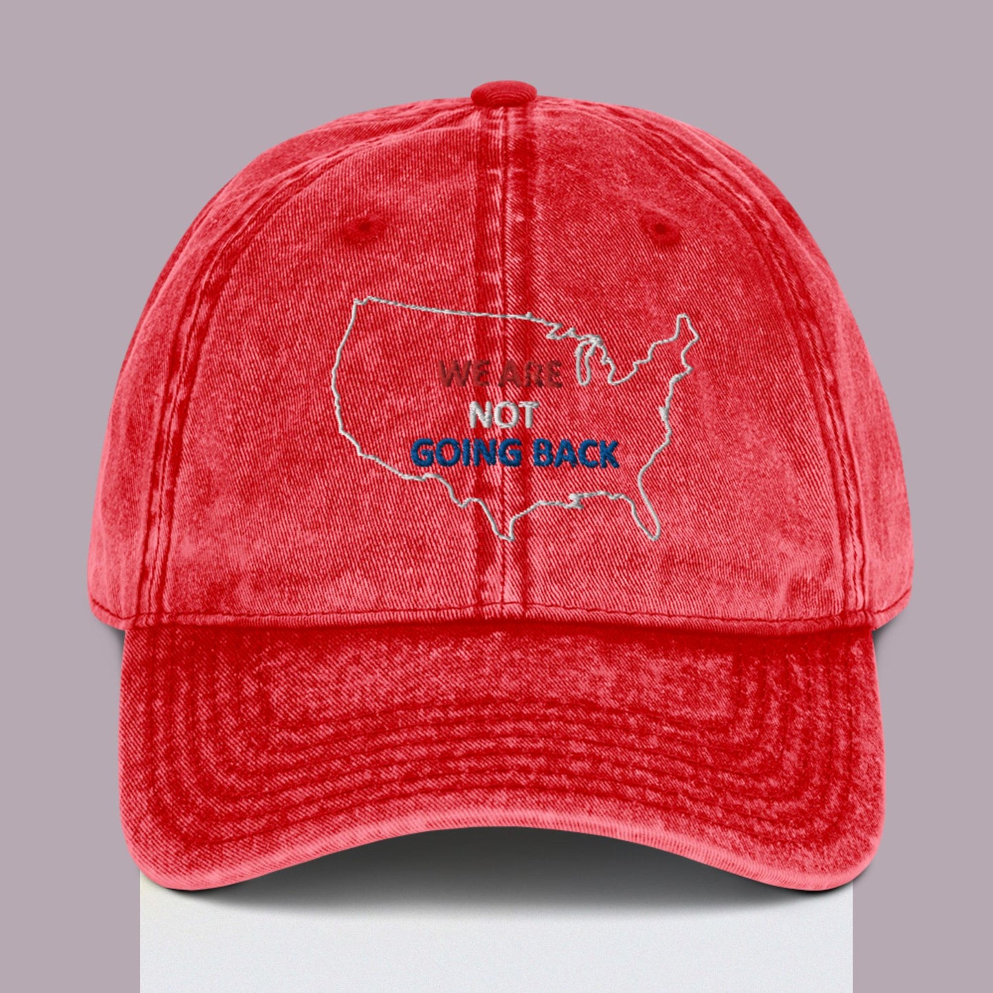 We Are Not Going Back USA Embroidered Vintage Ball Cap