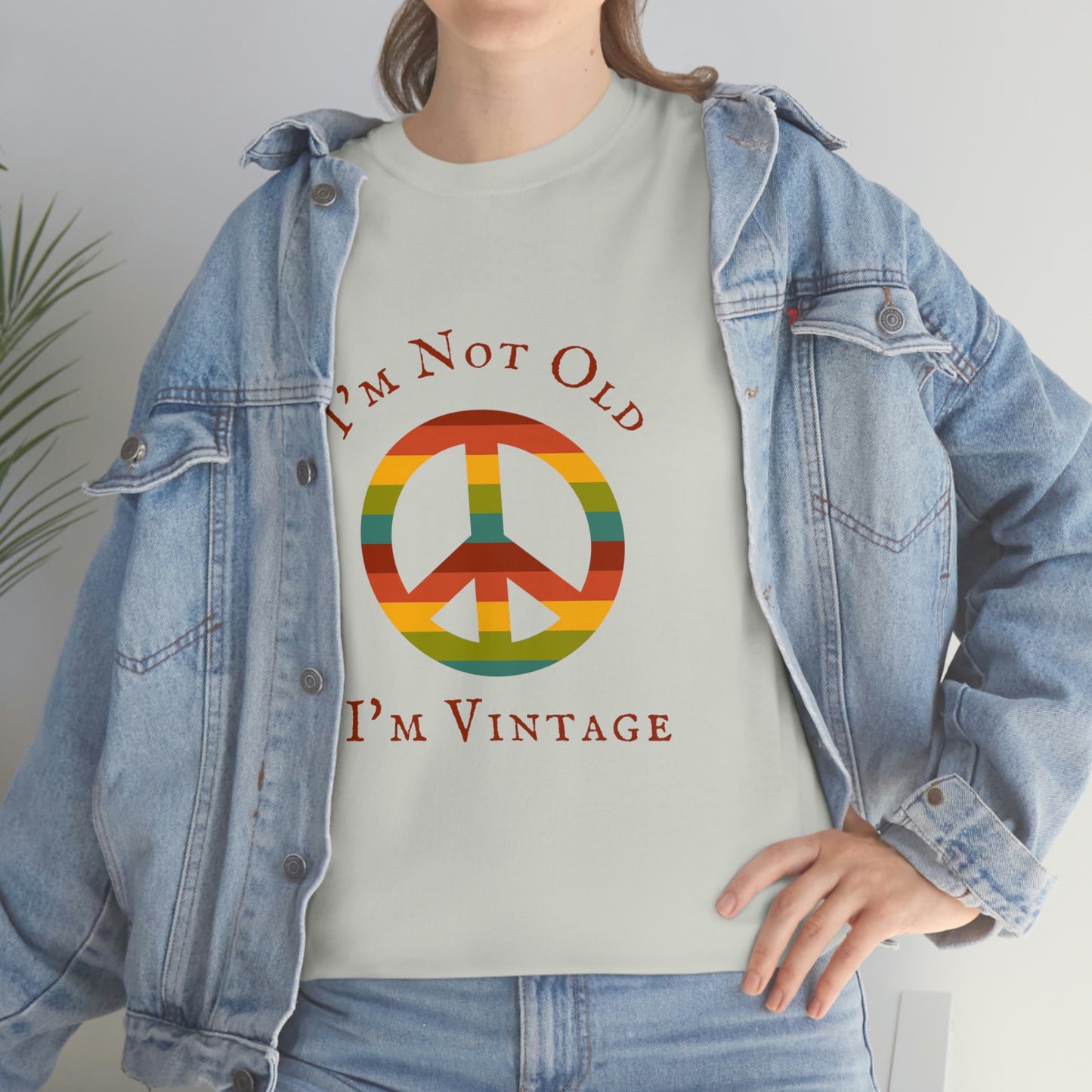 I'm Not Old I'm Vintage T-Shirt